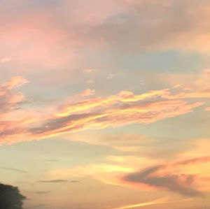 Meet your Posher, Mallory